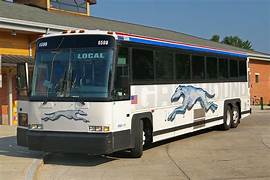 Bus Image